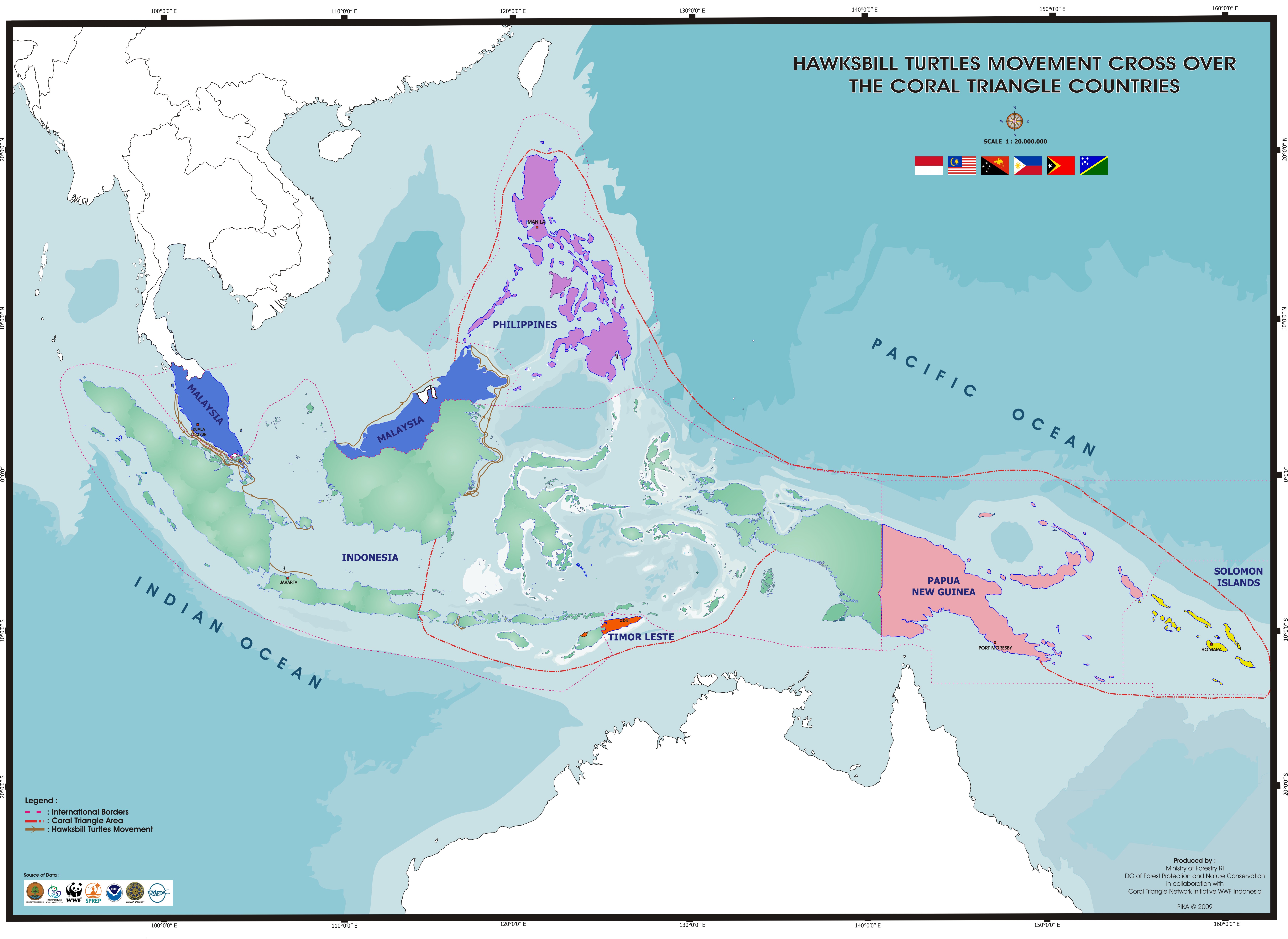 WWF Hawksbill turtle migrations in the Coral Triangle