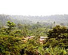 Forest Fringe Community on the Atewa Mountains, Eastern Region, Ghana