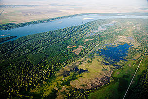 WWF projects demonstrate the benefits of reconnecting Danube wetlands to the river system. / ©: Александър Иванов Belene Island, Bulgaria. Former floodplain forests and wetlands are being restored in the Bulgarian ... / ©: Александър Иванов