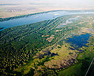Belene Island, Bulgaria. Former floodplain forests and wetlands are being restored in the Bulgarian part of the Danube River. The marsh has been reconnected with the river, creating rich feeding, breeding and spawning grounds for fish, flora and fauna. 