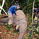 &copy; WWF-Canon / WWF Intl./Peter Ngea