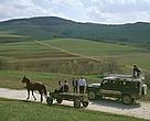 A horse and cart is better than a jeep for eco-friendly exploration