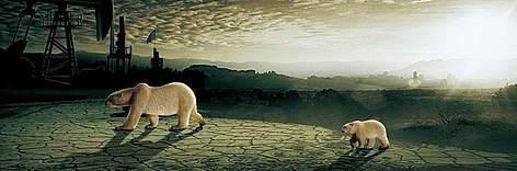 Dónde está sus casas? / ©: WWF Dónde está sus casas? / ©: WWF