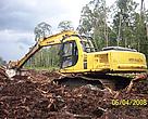 APP associated company opens a Senepis peat forests. 