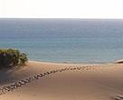 Patara dunes, Turkey.