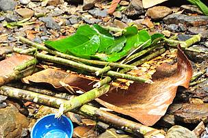 Penan story_filter rainwater