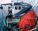The majority of European fish stocks are in a parlous state as a result of their mismanagement