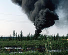 Burning oil. Heavy oil pollution in a tundra forest due to pipeline leakage. Komi Republic, Russian Federation  