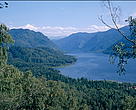 Russia's forests presere and sustain much of the global ecological balance. Altai-Sayan Region, Siberia.