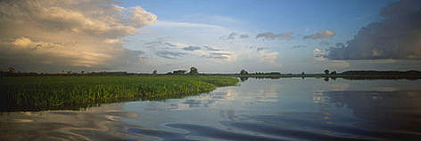 View of the varzea (flooded forest) near São Miguel, near Santarem, Para, Brazil / ©: WWF-Canon / Edward PARKER rel=