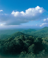 Amazonian tropical rainforest landscape seen from the inselberg in the Nouragues Nature Reserve. ... / ©: WWF-Canon / Roger LeGUEN / ©: WWF-Canon / Roger LeGUEN