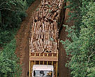 Timber being transported on a truck from the forest to the paper and cellulose mill in Telemaco Borba, Brazil.