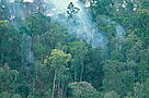  / &copy;: WWF-Canon / Alain Compost