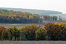 Trees in autumn colors in Lazovsky State Nature Reserve, which is now considered one of the most ... / &copy;: WWF-Canon / Vladimir FILONOV