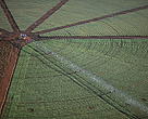 Intensive cultivation of soy in Brazil.<BR>