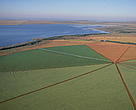 Intensive cultivation of Soybeans etc. using rotary irrigation system, near Brasilia.