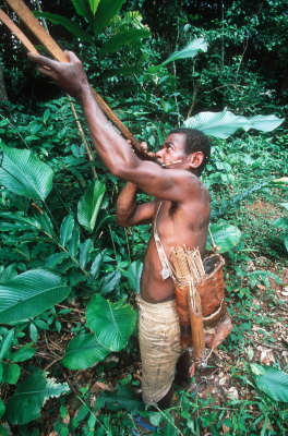 BaAka subsistence hunter with crossbow, Cameroon. / ©: WWF-Canon / Martin HARVEY / ©: WWF-Canon / Martin HARVEY