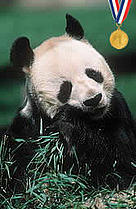  / &copy;: WWF-Canon / Martin HARVEY