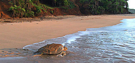  / &copy;: WWF / Parc Marin de Moheli