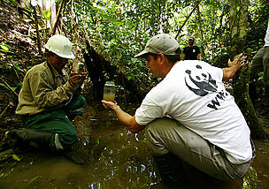 Equipo de WWF Perú y pobladores locales monitoreando la calidad del agua para asegurar que esté ... / ©: BRENT STIRTON / GETTY IMAGES / WWF / ©: BRENT STIRTON / GETTY IMAGES / WWF