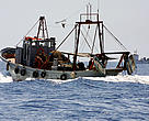 Trawlers operating in the Mediterranean Sea.