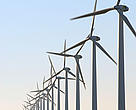 Renewable energy recognised by WWF are wind, solar, small hydro and biomass.