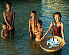 WWF sees the Greater Mekong subregion environment programme a step in the right direction in ensuring that development in the Mekong basin is not at the expense of its people and nature.
