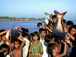 Crowd of children with river catfish (Ton Le Sap river, Cambodia) / ©: Zeb Hogan / ©: Zeb Hogan