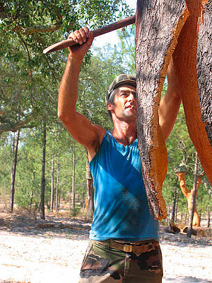 Cork harvesting, Portugal / ©: WWF-Canon / Claire DOOLE / ©: WWF-Canon / Claire DOOLE