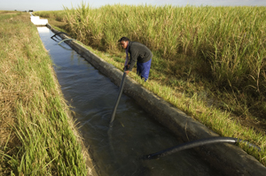 Irrigating sugar cane fields. Sugar cane farms rely heavily on water from the Kafue River for ... / ©: WWF-Canon / Martin HARVEY Irrigating sugar cane fields. Kafue Flats, Zambia / ©: WWF-Canon / Martin HARVEY