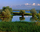 General view of Lac du Der Chantecoq, France 
