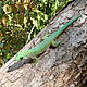 Gecko, Parc National des tsingy de Bemaraha © WWF / Mylène Francoeur