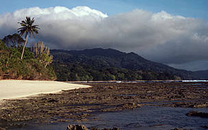 Ujung Kulon National Park Scenery on south coast with adjacent turtle nesting beaches Java, ... / ©: WWF-Canon / Anton FERNHOUT Ujung Kulon National Park Scenery on south coast with adjacent turtle nesting beaches Java, ... / ©: WWF-Canon / Anton FERNHOUT