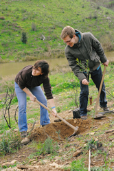 Colaboradores da Coca Cola Portugal e Refrige realizam operações florestais na Ribeira do Vascão, ... / &copy;: Coca Cola Portugal, projecto de restauro florestal WWF / Coca Cola Portugal, Ribeira do Vascão, Parque Natural do Vale do Guadiana, Mértola