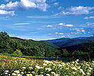 Strandza Mountains, Bulgaria