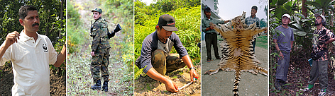 L to R: Neel Gogate, WWF Coordinator working on Tiger Conservation and Income Generation projects, ... / ©: L to R: Jo Benn / WWF-Canon; Vladimir Filonov / WWF-Canon; Fletcher & Baylis / WWF-Indonesia; Jeff Foott / WWF-Canon; Tshewang R. Wangchuk / WWF-Canon rel=