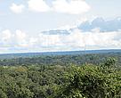 View of forest area in East Cameroon