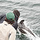 &copy; ©WWF-Canon/ Maud Guye-Vuillème