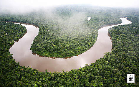 Forest_For Mac_2560 x 1600 / &copy;: Brent Stirton / Getty Images