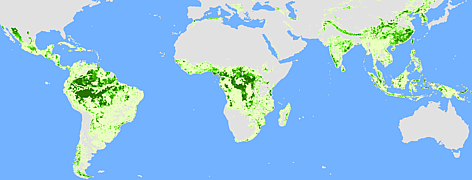 Equatorial map of forested area of the world in 2100 if we carried on at 2010 rates of ... / ©: WWF / IAASA LFR11 rel=