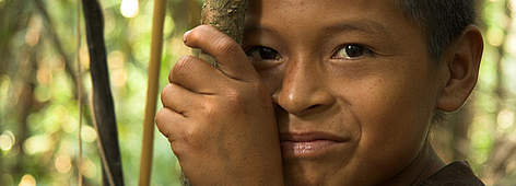 Tropical forests, Peru. / ©: WWF / JAMES FRANCHMAN / ©: WWF / JAMES FRANCHMAN