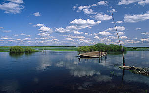 Marshlands along the Briebrza River are natural flood absorbers. / ©: WWF-Canon / Fred F. HAZELHOFF / ©: WWF-Canon / Fred F. HAZELHOFF