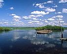 Europe’s freshwater resources are threatened by overuse, pollution, and lack of appropriate water management. Intact freshwater ecosystems are becoming rare. Biebrza Marshes, Poland.