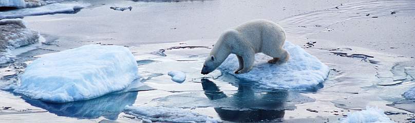  / &copy;: WWF-Canon / Jack Stein GROVE