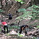 &copy; WWF DCP BG archive