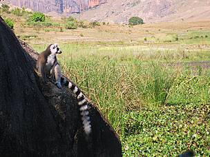  / &copy;: WWF / Seraphine Wegner