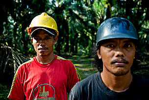 Workers at plantation, Riau, Sumatra. / ©: James Morgan / WWF International / ©: James Morgan / WWF International