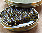 Sturgeon are harvested for their roe which is turned into caviar.