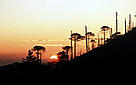 Sunrise from the Mirador, summit lookout Municipality of Santiago Comaltepec, Oaxaca, Mexico.  / &copy;: WWF-Canon / Anthony B. RATH