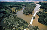 Arms of the Danube River with construction road, Slovakia. / &copy;: WWF-Canon / Paul GLENDELL